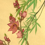 松林桂月の掛け軸 花図