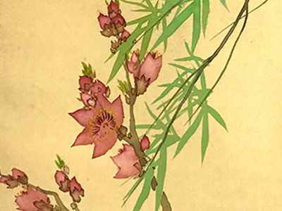 松林桂月の掛け軸 花図